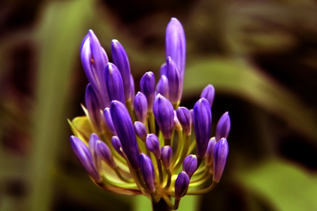 和售后服务 和售后服务