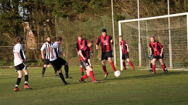 摆脱完全依 摆脱完全依