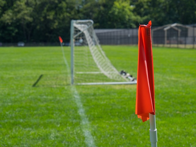 球的队伍 球的队伍