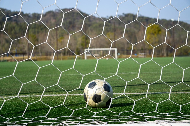 队未来的发 队未来的发